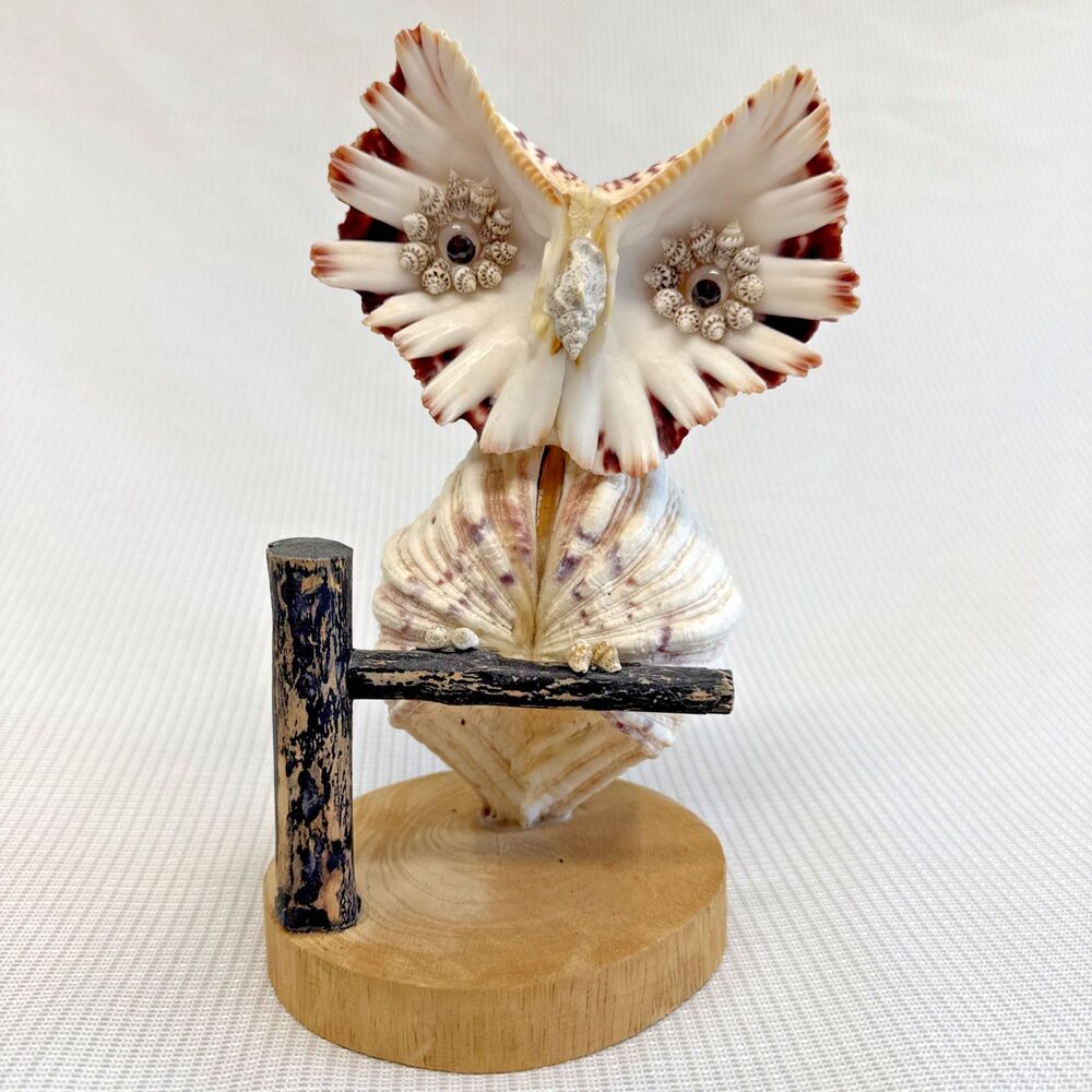 Vintage Large 8” Handmade Sea Shell Owl Art Sculpture Statue On Wood Base Unique